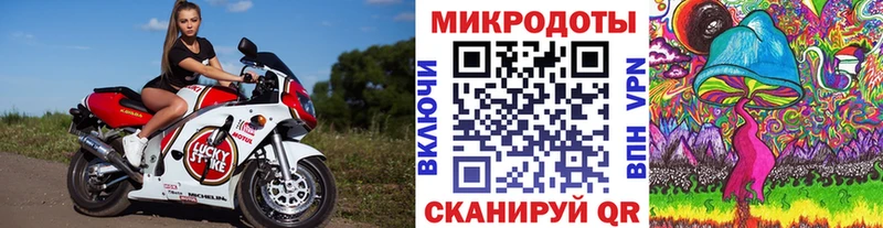 Галлюциногенные грибы Psilocybine cubensis купить наркотики цена Абаза